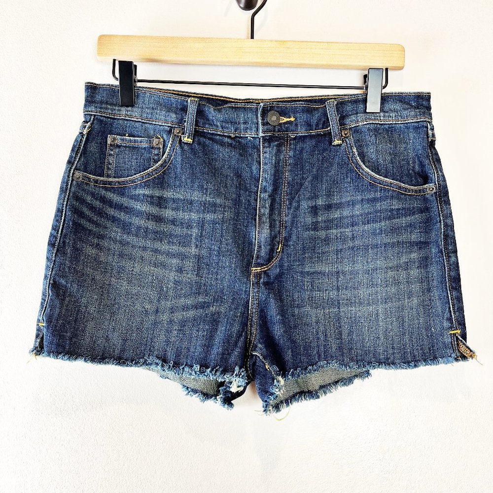 2/$30 TNA Distressed High Rise Jean Shorts 30